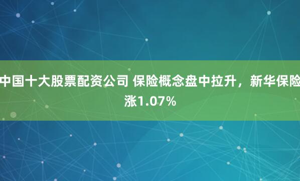 中国十大股票配资公司 保险概念盘中拉升，新华保险涨1.07%